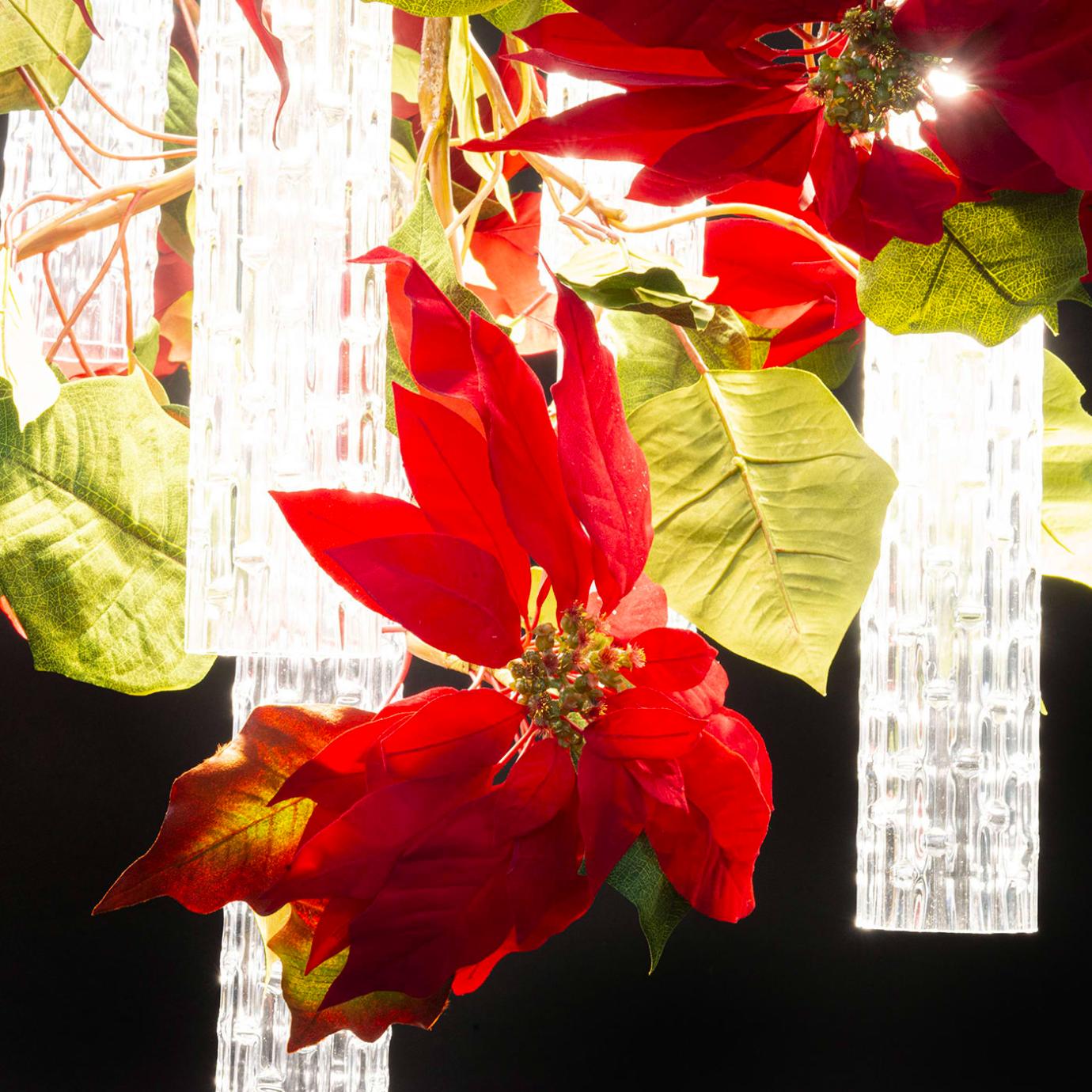 Люстра Poinsettia