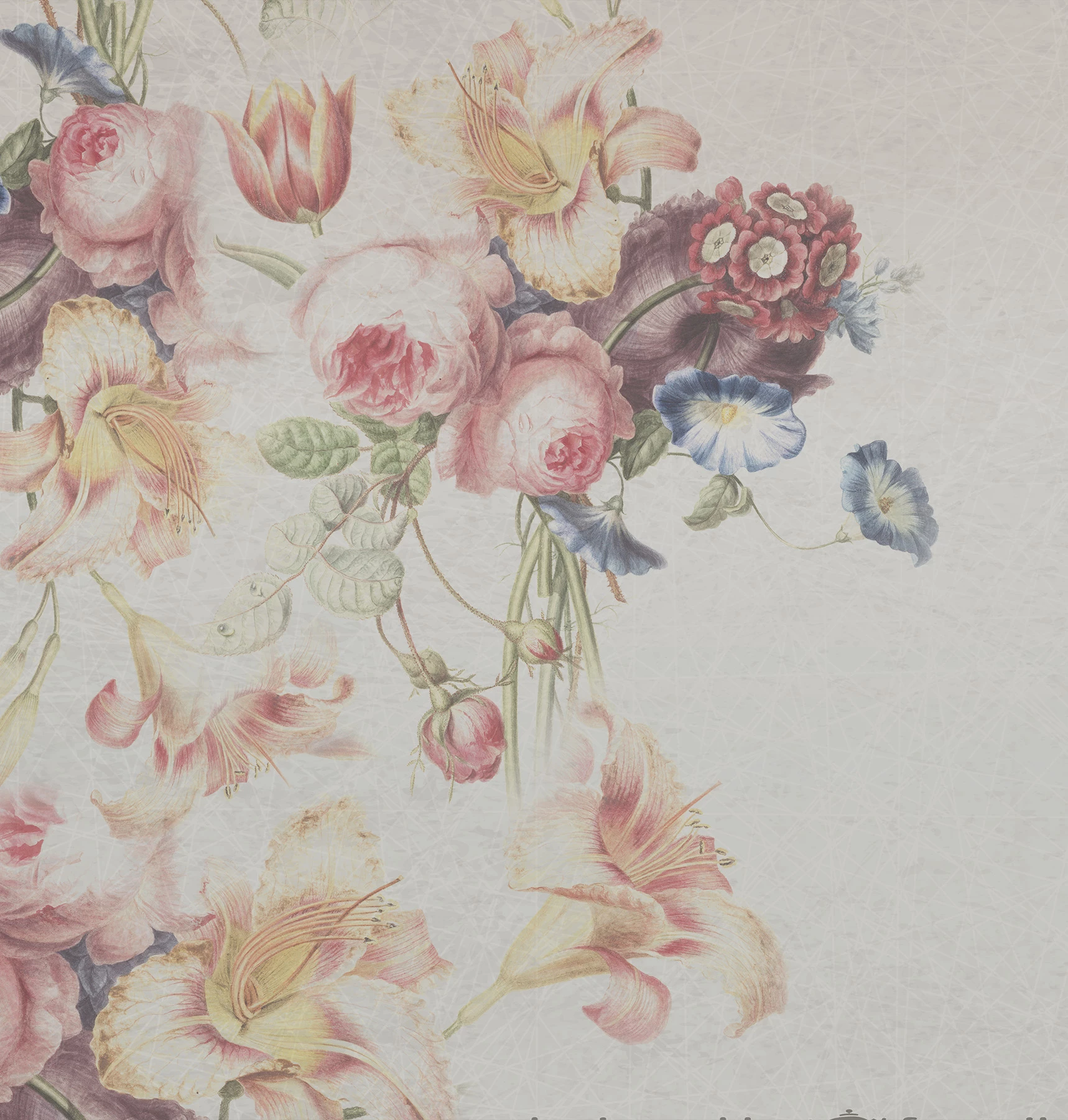Обои Spring Flower
