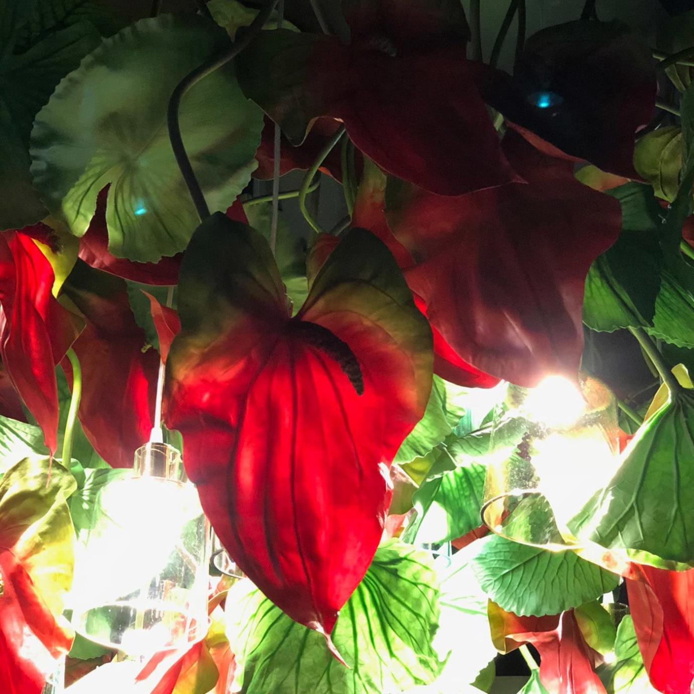 Люстра Anthurium