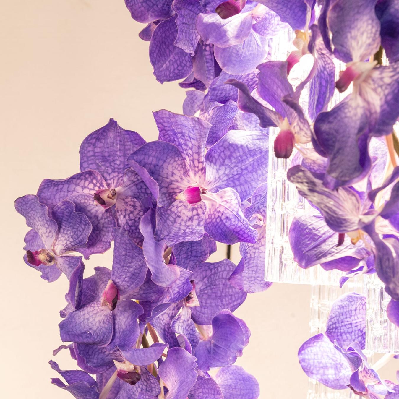 Квадратная люстра Vanda