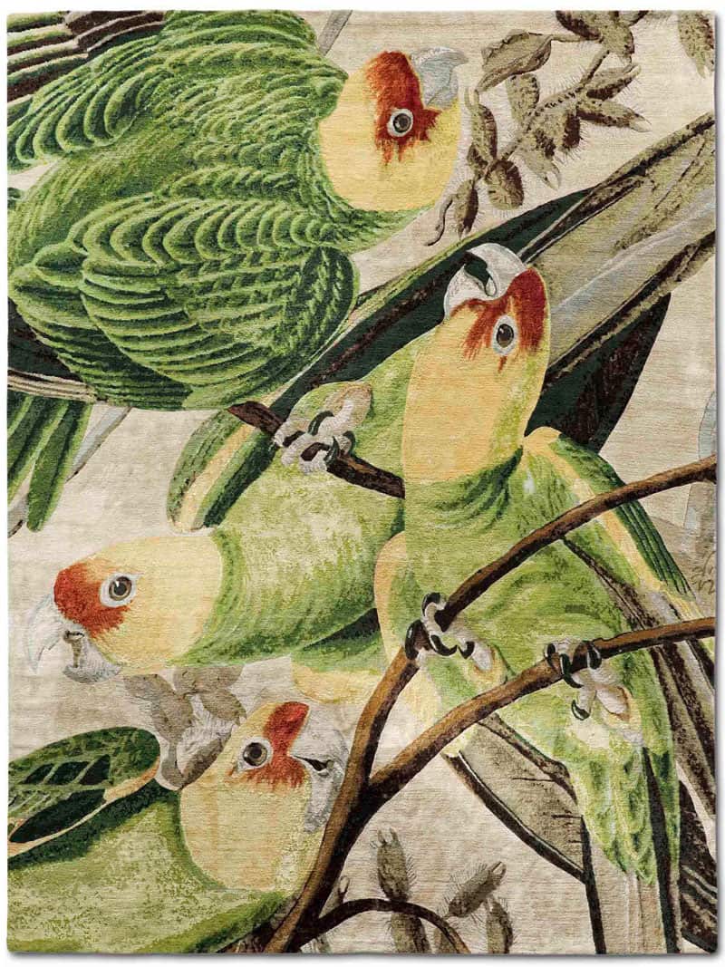 Изящный ковер Parrots