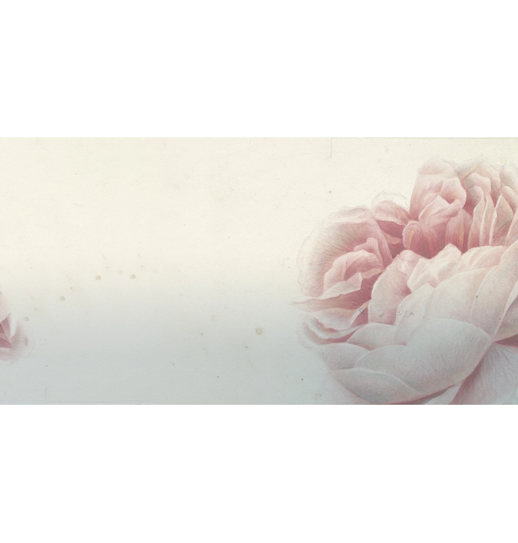 Шпалери Romantic Flowers
