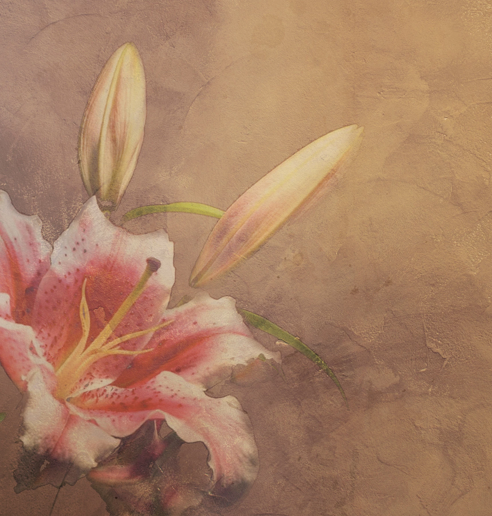 Шпалери Amaryllis
