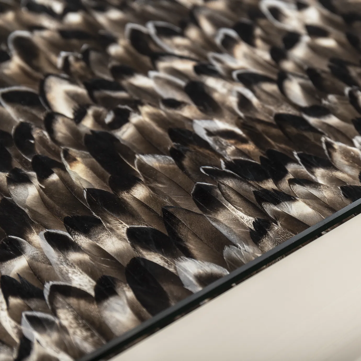 Обідній стіл Mistral Exotic Feather Top