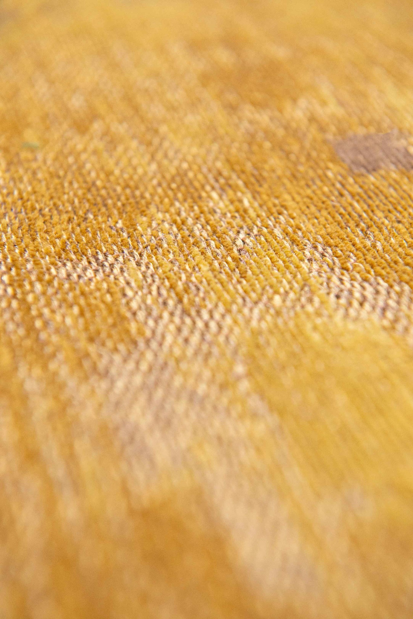 Ковер Бельгия Venetian Dust - Rialto Gold | Размер: 240 x 340 см
