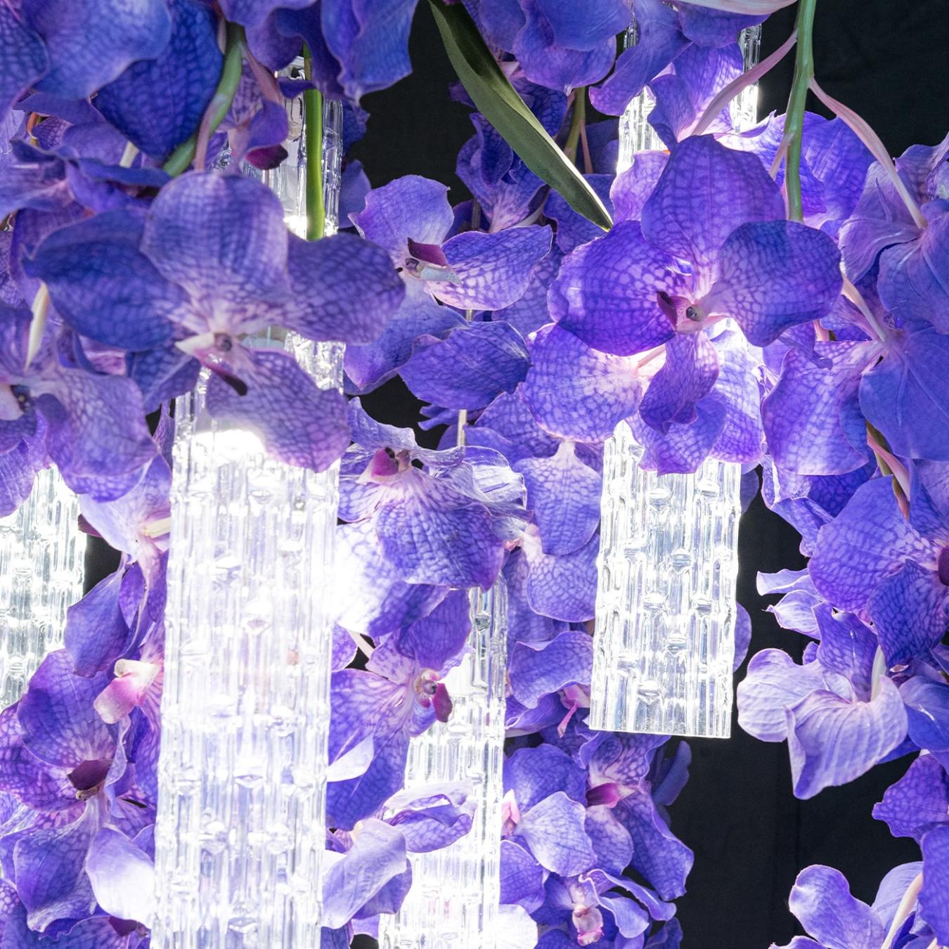 Велика люстра Vanda