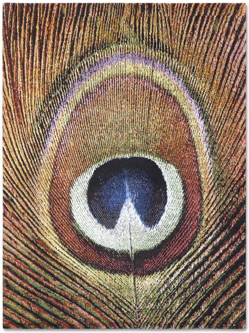 Элитный ковер Feathers | Размер: 305 x 427 см