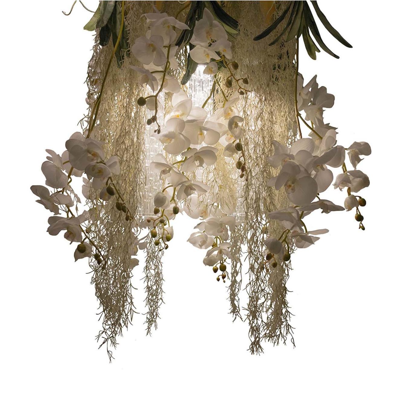Люстра Phalaenopsis