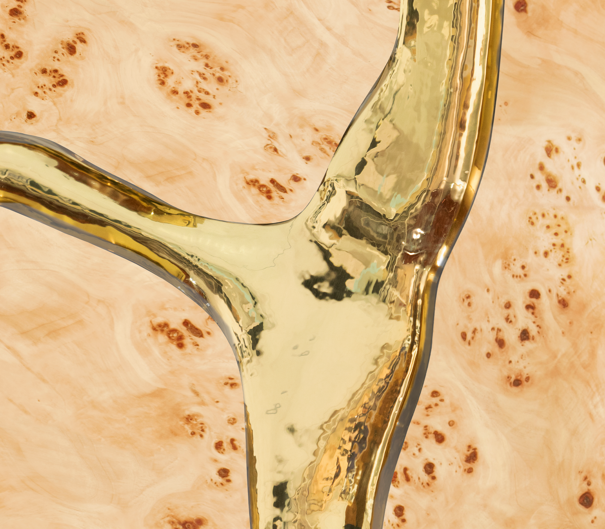 Шафа Fissure Poplar
