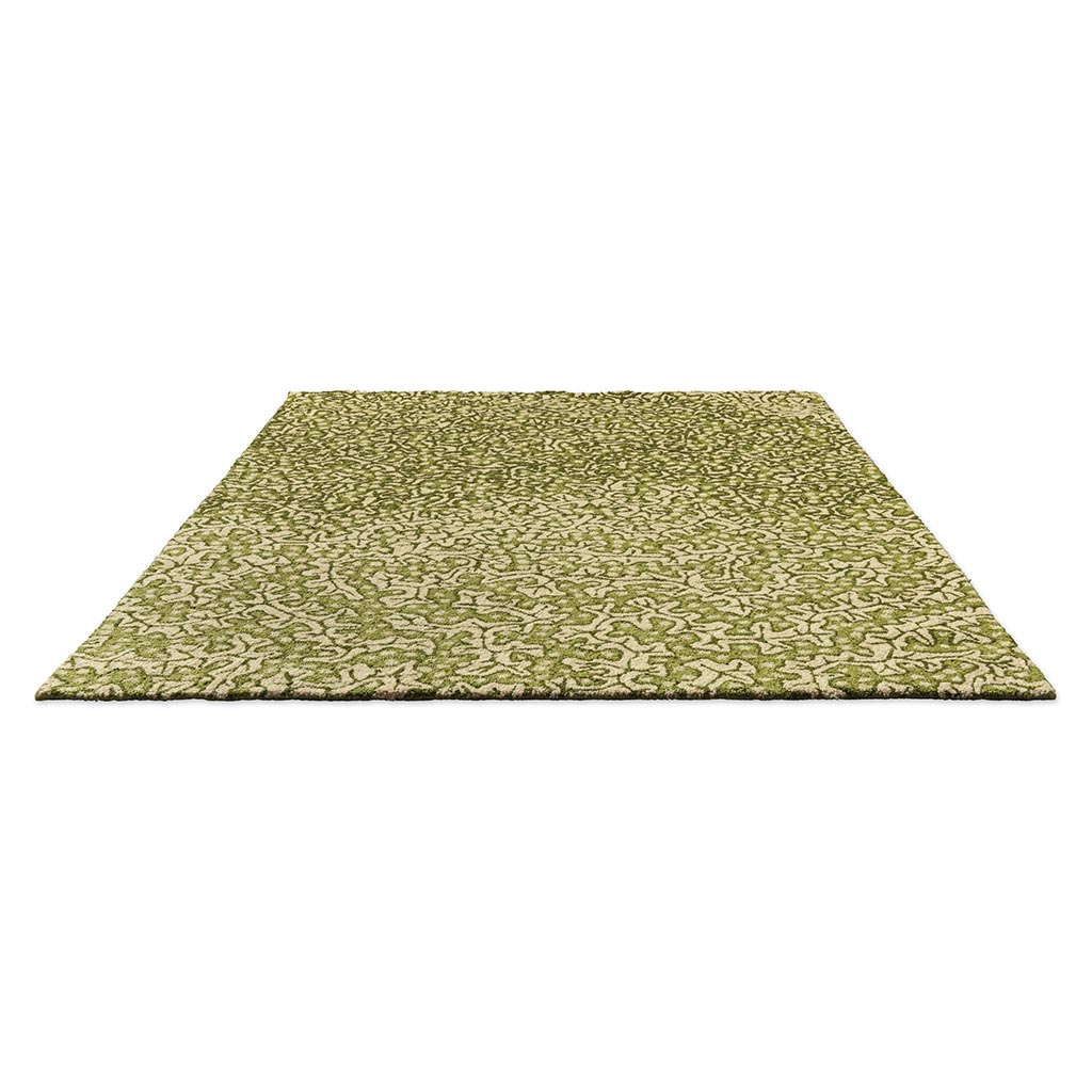Ковер уличный Earth Olive | Размер: 250 x 350 см