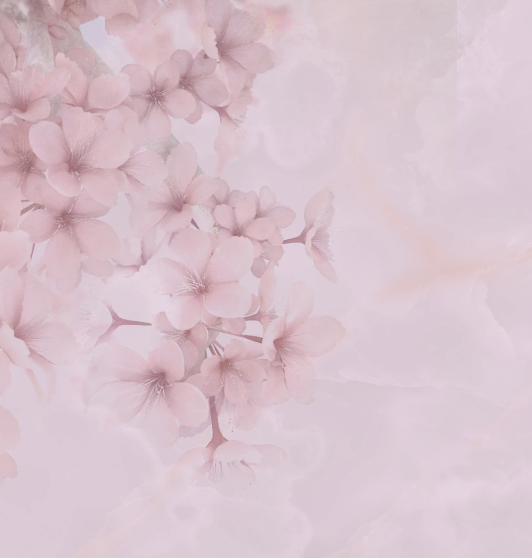 Шпалери Bloom