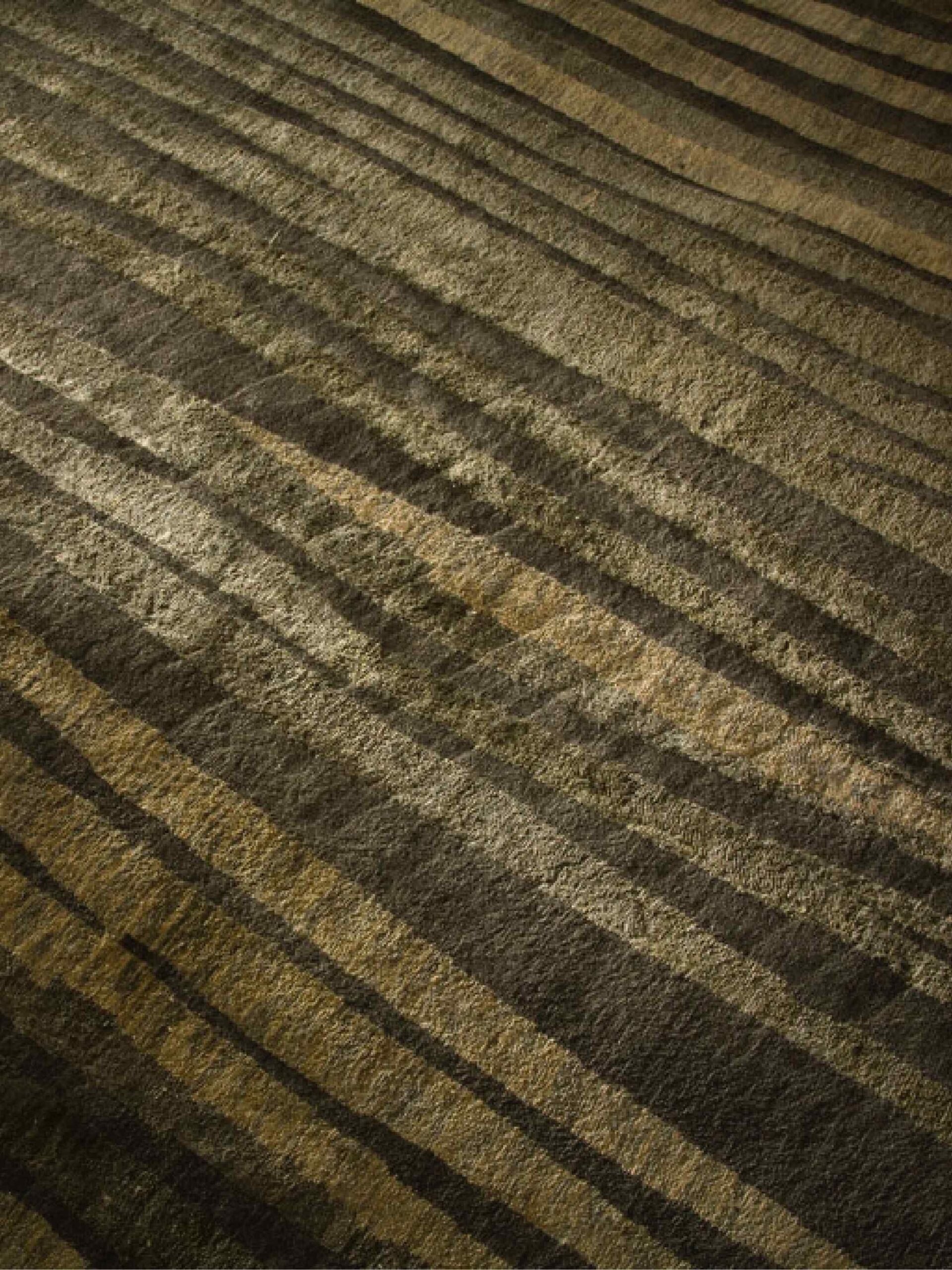 Дизайнерский ковер Zen Terre