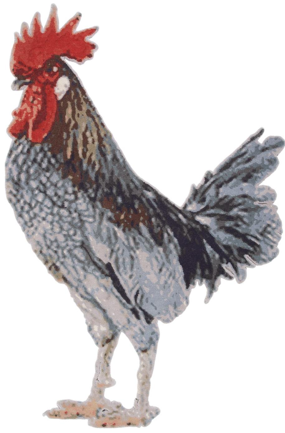 Круглий килим Італія Rooster