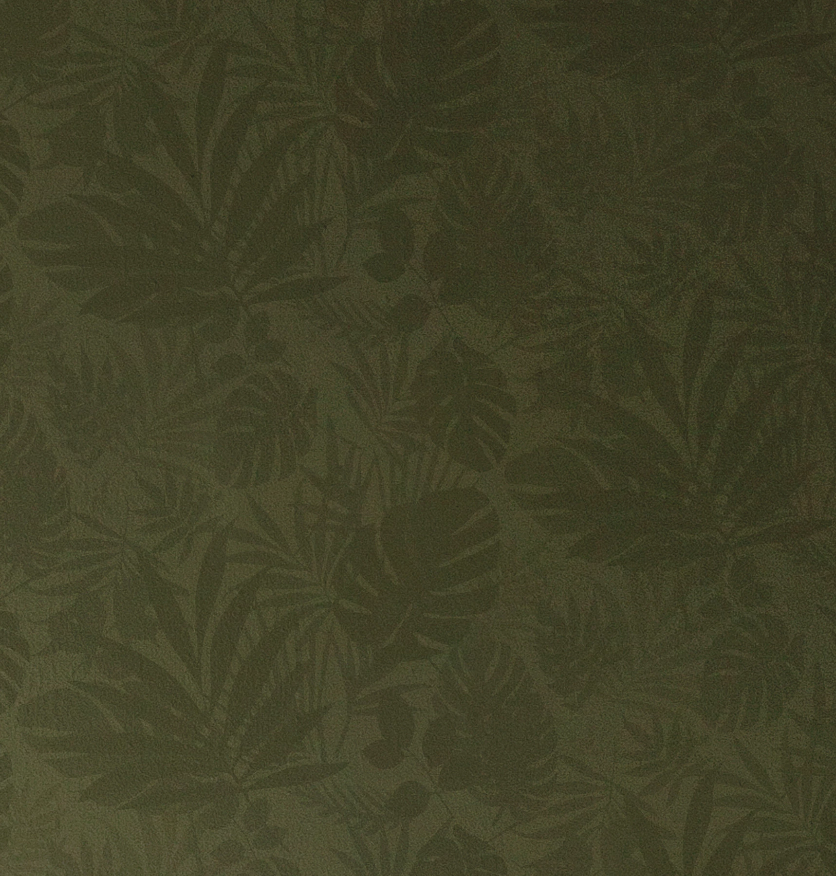 Обои Jungle