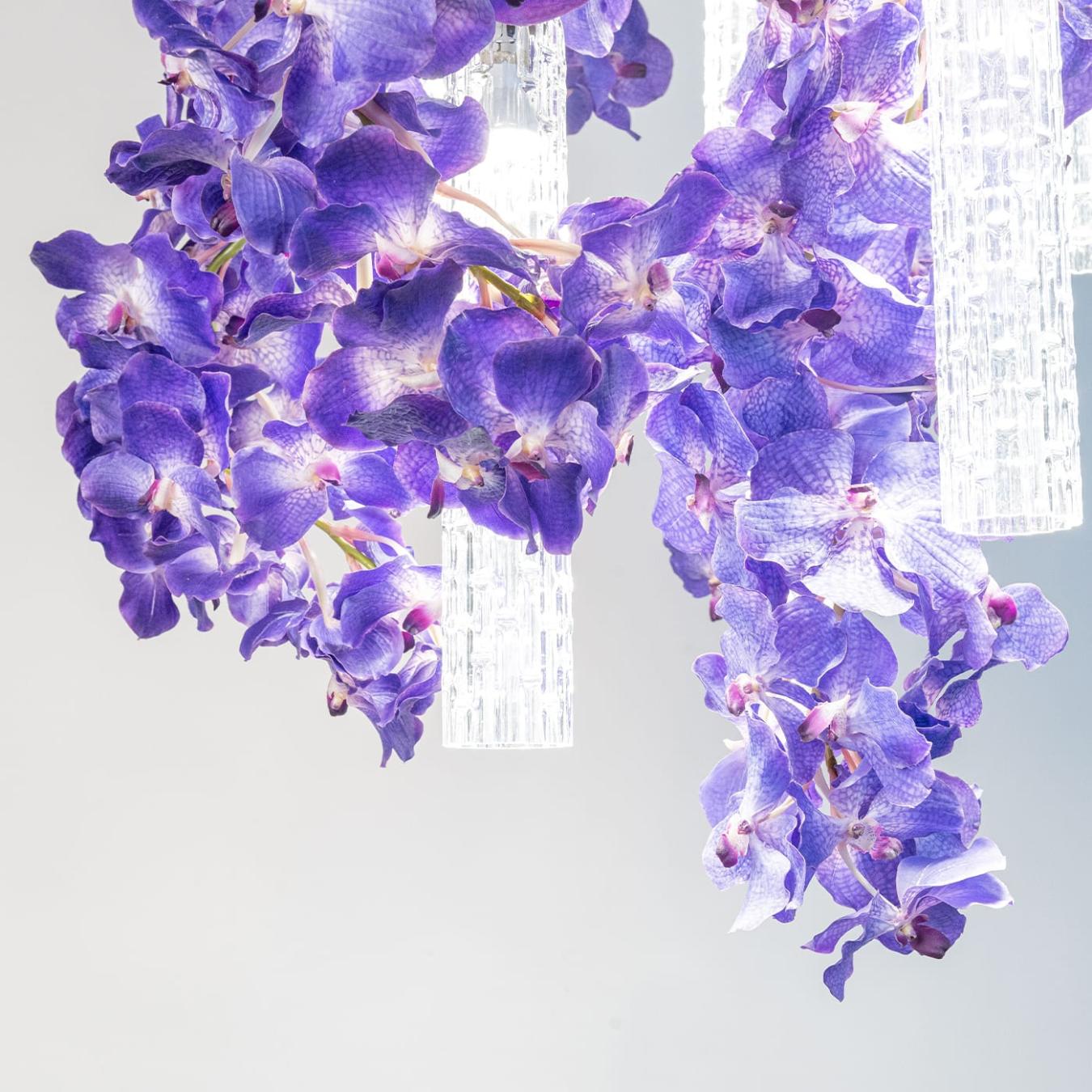 Велика люстра Vanda