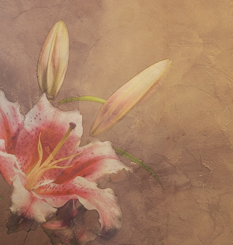 Шпалери Amaryllis