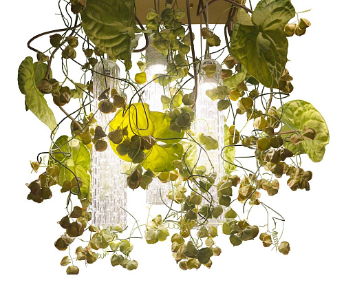 Люстра Physalis Anthurium