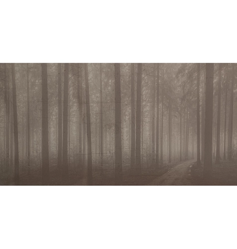 Шпалери Night Forest