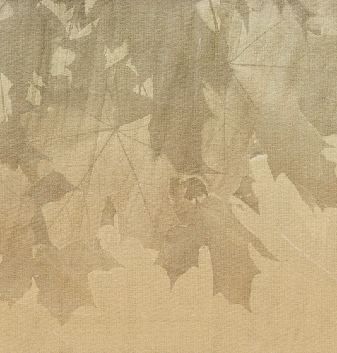 Шпалери Creative Leaves