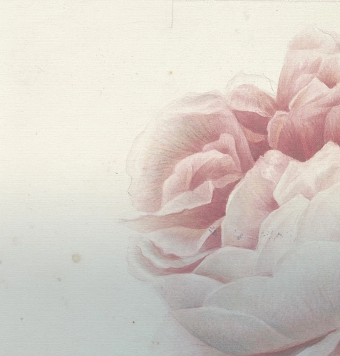 Обои Romantic Flowers