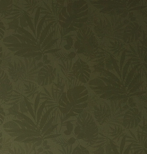 Обои Jungle