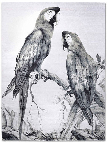 Эксклюзивный ковер ручной работы Two Parrots